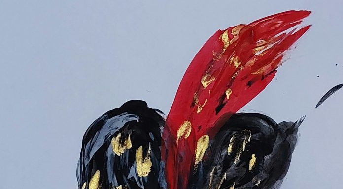 Twin Flame (Collection of 3)