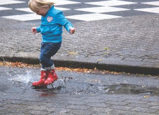 thanksgiving, next year