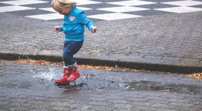 thanksgiving, next year