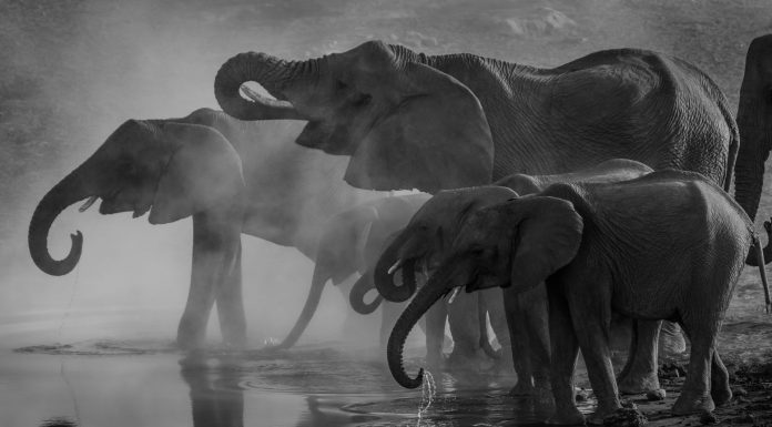 Andrew is leaving to pursue other opportunities