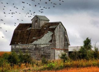 Decades Lapping at My Feet