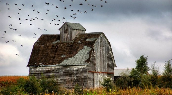 Decades Lapping at My Feet