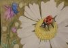 Ladybug on flower