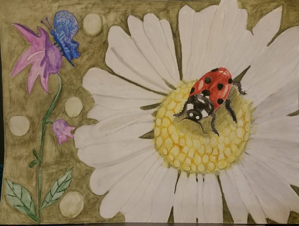 Ladybug on flower