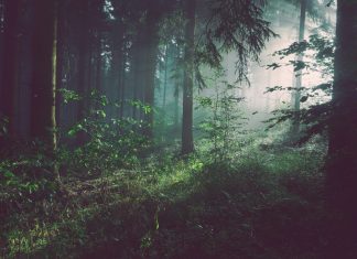 Visions of a Teacher Come to Mind