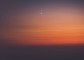 Opening Sentences 101