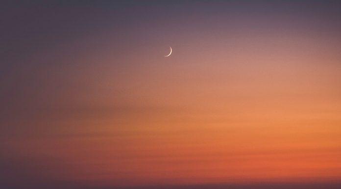 Opening Sentences 101