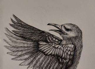 Three Ink Drawings by Tiko Lewis