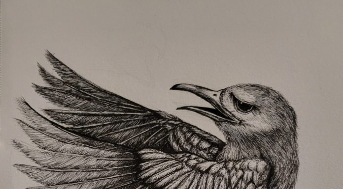 Three Ink Drawings by Tiko Lewis