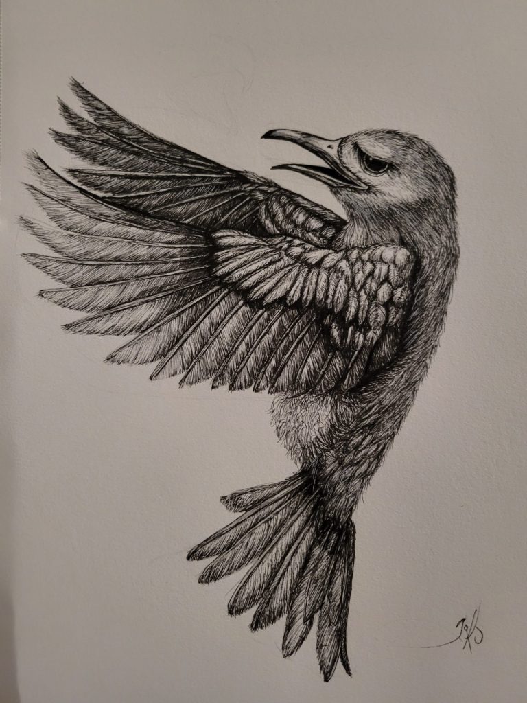 Three Ink Drawings by Tiko Lewis