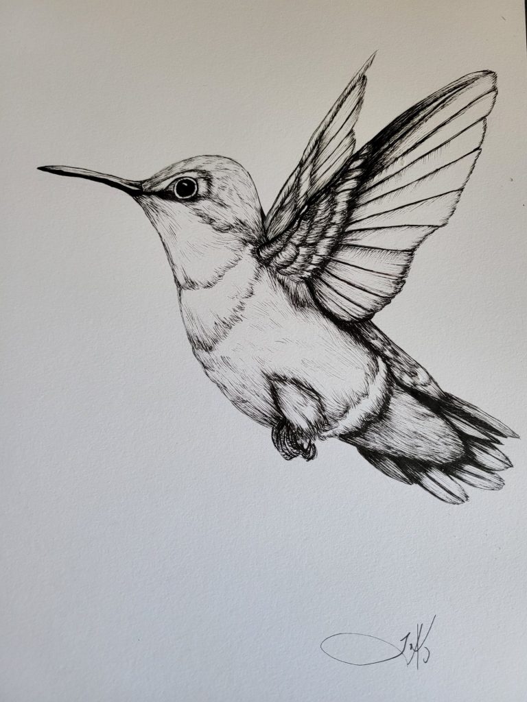 Pigma Micron Ink Pens on mixed media paper, 9"x12"