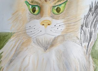 Gallery of Watercolor Pencil Paintings by Agnia Werbitzky
