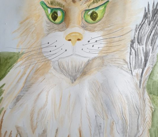 Gallery of Watercolor Pencil Paintings by Agnia Werbitzky