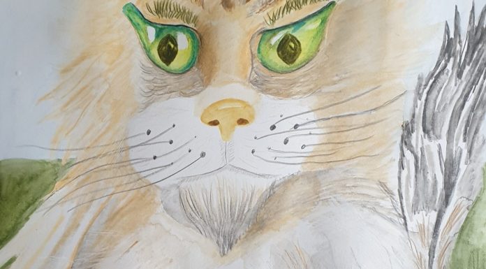 Gallery of Watercolor Pencil Paintings by Agnia Werbitzky