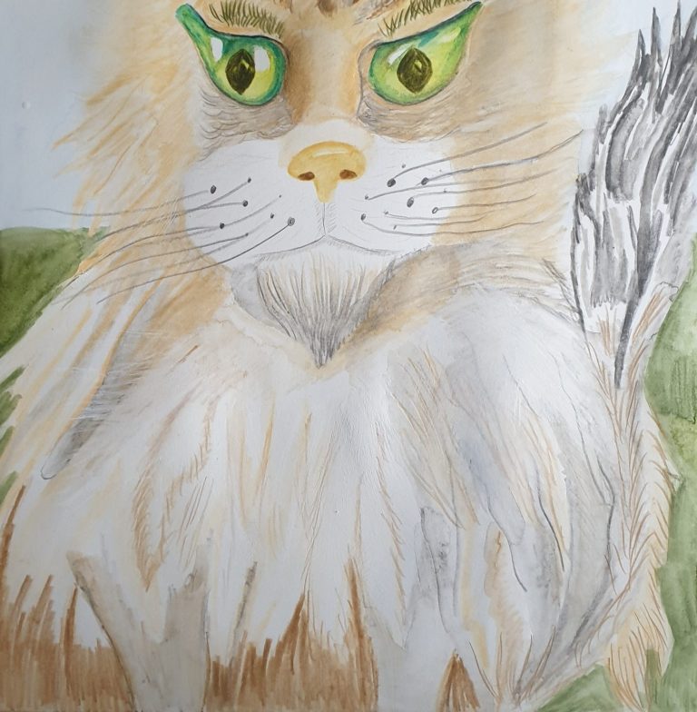 Gallery of Watercolor Pencil Paintings by Agnia Werbitzky