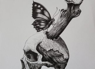 sideways (picture: butterfly on bone)