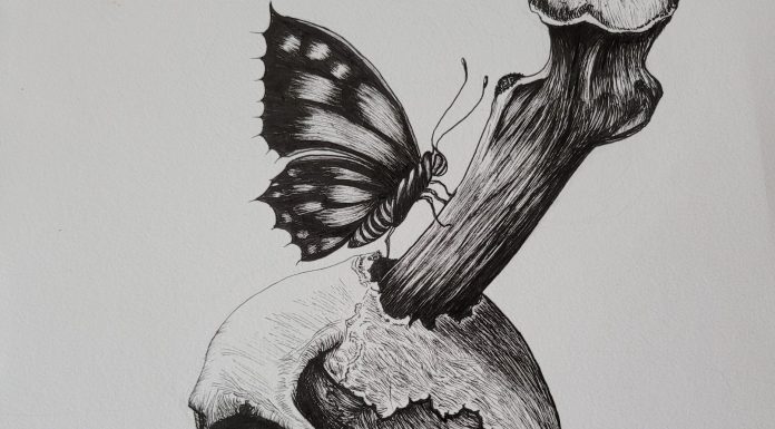 sideways (picture: butterfly on bone)