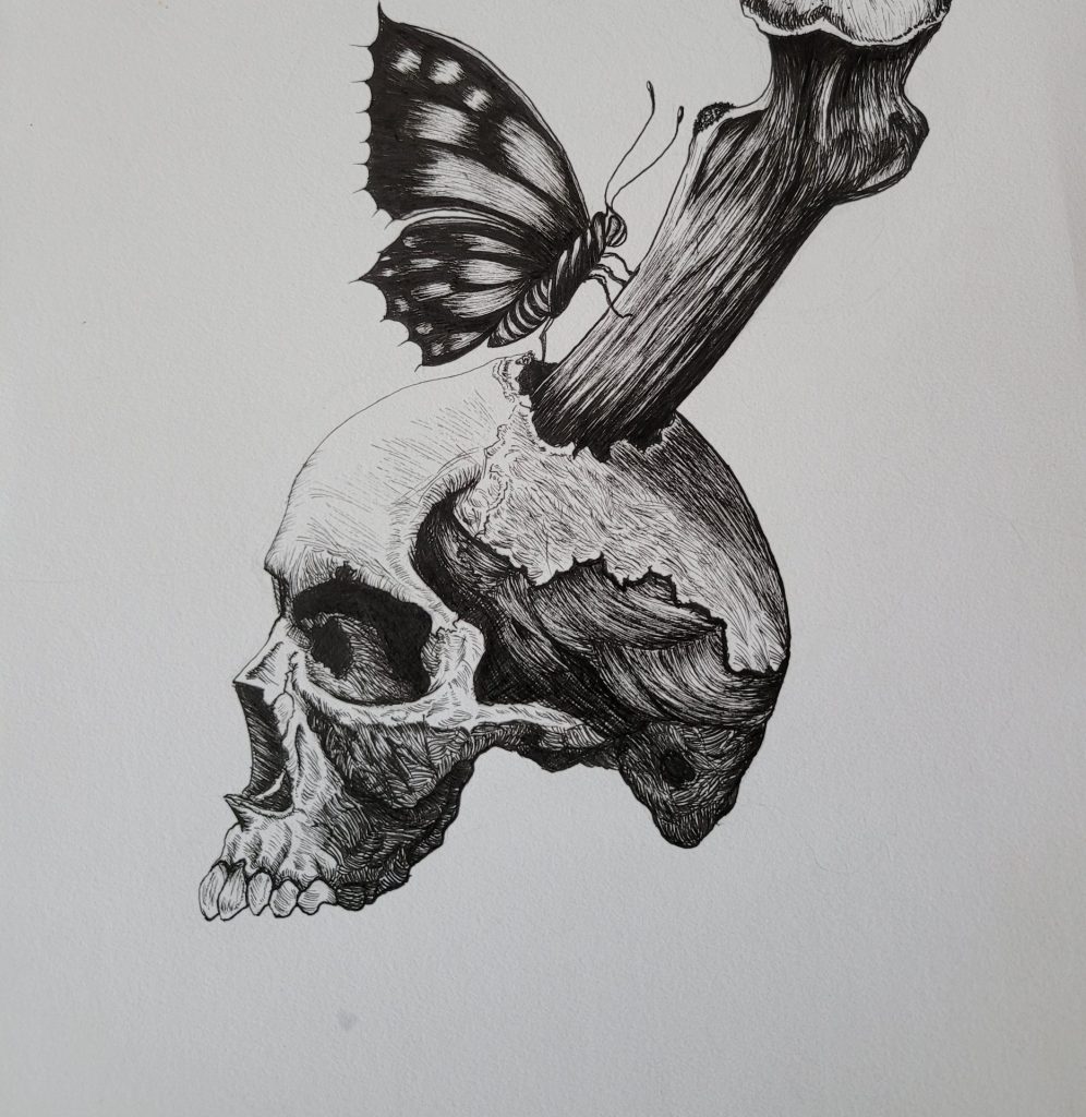 sideways (picture: butterfly on bone)