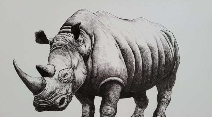 big nose (for Spark)