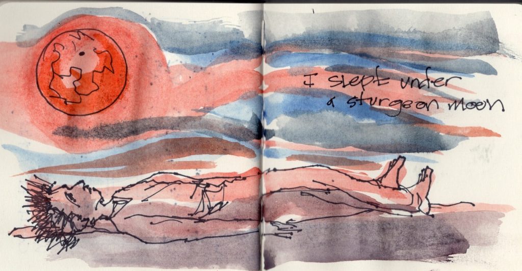 Morning Sketch, Sturgeon Moon
