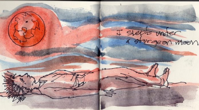 Morning Sketch, Sturgeon Moon