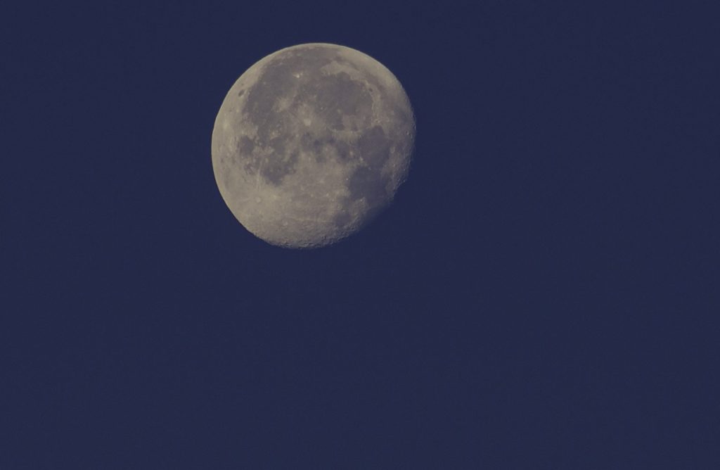 Phases of the Moon, Summer 2025: A Gallery of Twelve Photographs by Rod Raglin