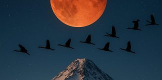 His name means ‘far-seeing’