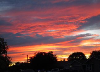 Sunrise Serenade