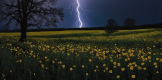 I suppose resilience