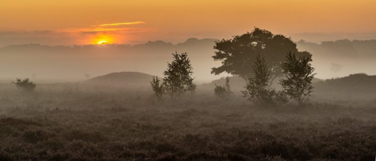 First Light