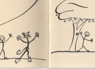 Zak and the Moffy Cat Play