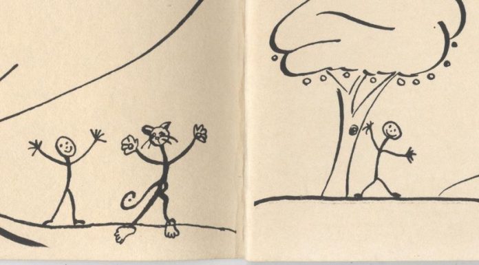 Zak and the Moffy Cat Play