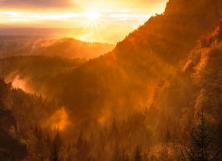 A NEW DAY