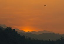 Indelible (Thanksgiving)