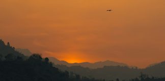 Indelible (Thanksgiving)