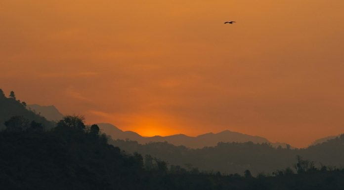 Indelible (Thanksgiving)