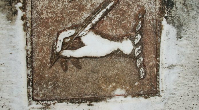 The Architect of Ash