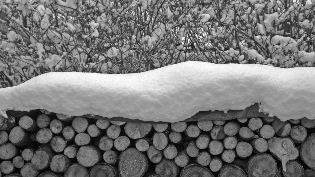 Winter Woodpile