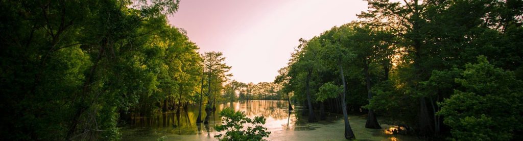 Opelousas Summer
