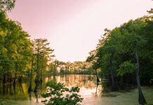 Opelousas Summer a lake surrounded by lush green trees under a purple sky