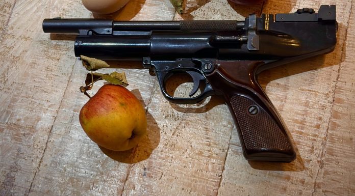 Shooting Rats with Buddha