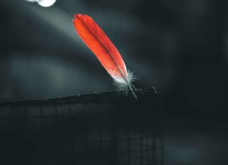 Three more humble attempts at bussokusekika.