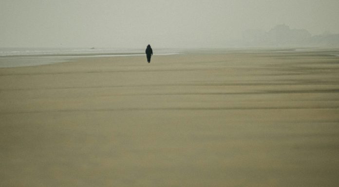 On the shore of a radioactive sea