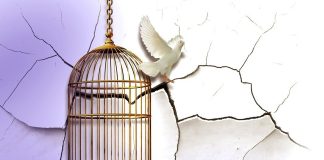 At Least Yours Had a Song, Buk