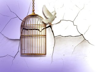 At Least Yours Had a Song, Buk