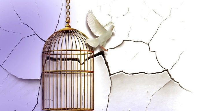 At Least Yours Had a Song, Buk