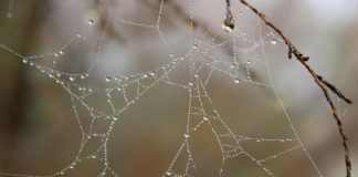 So Much, So Many, So Few