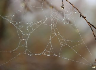 So Much, So Many, So Few