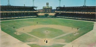 Oh, To Live By Dog Years