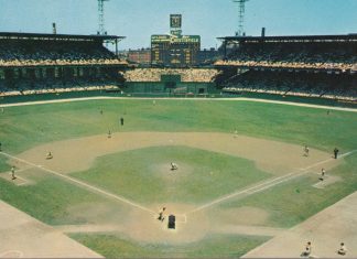 Oh, To Live By Dog Years